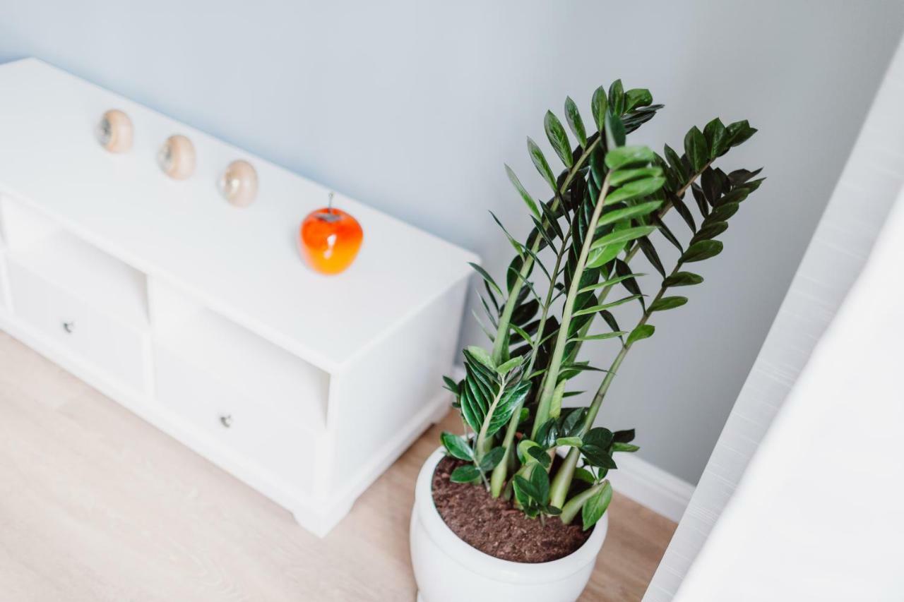 Apartament Exclusive 